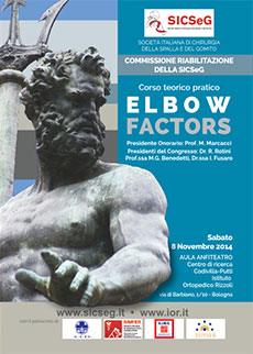 Elbow Factors
