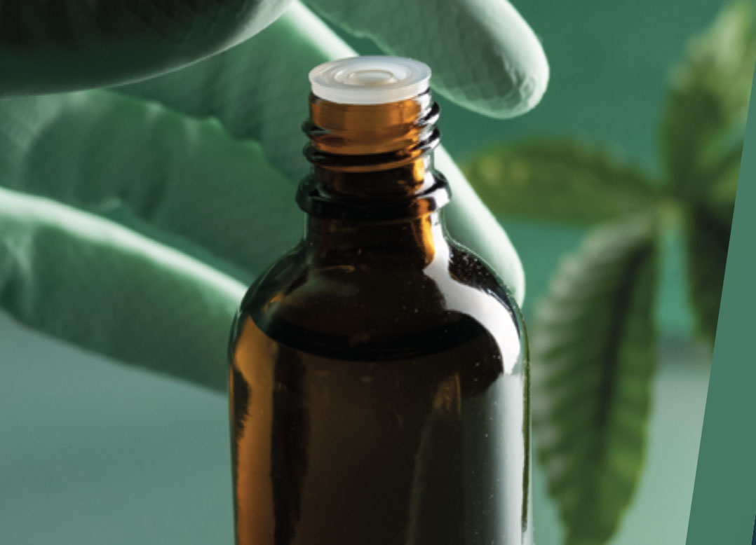 BOOTCAMP CANNABIS MEDICA